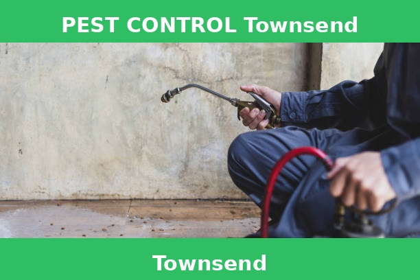 PEST CONTROL Townsend